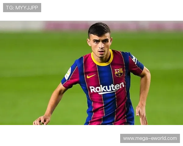 佩德里最新伤病动态