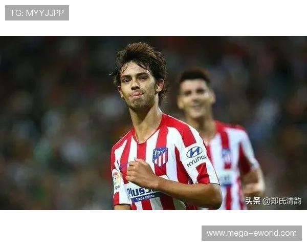 菲利克斯在西蒙尼体系中的技术适配难题解析